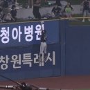 허밍버드 이미지