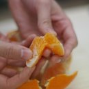 시완농장 이미지