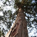 구례의길(지리산둘레길) 이미지