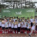 자이태권도 이미지