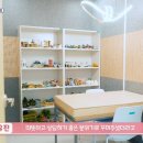 남서울대 티스토리