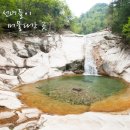 십이선녀탕주유소 이미지