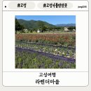 하늬라벤더팜 | [고성여행]강원도 고성 가볼만한 곳 고성 라벤더축제 하늬라벤더팜 여름 후기 준비물, 포토스팟