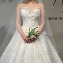 WD2. 드레스투어 아벨바이케이 후기