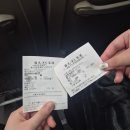 쁘띠멍멍 | 대만을 다녀왔어요