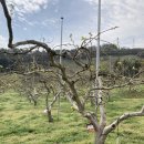 가음어린이집 이미지