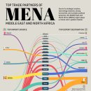 MENA 국가의 주요 무역 파트너 시각화 이미지