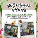 은빛양품