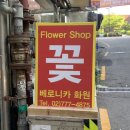 베로니카화원 이미지