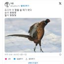 서면농장 이미지