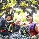 박종진 농장 이미지