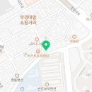 부산고양이분양 그린캣 이미지