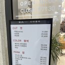 지에스25 성남자혜점 | 금광동미용실 시아헤어 톤다운염색 방문 후기 - 단대오거리미용실에서 받은 만족도 100% 시술