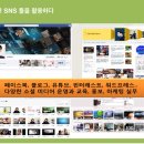 크리에이티브비타민(주)