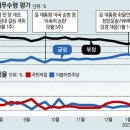 그냥 심심해서요. (20799) 심상찮은 정권견제론 이미지