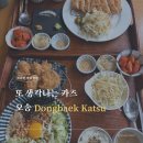 카츠102 | 오송 동백카츠 항정살카츠 먹어본 후기 돈카츠 메뉴 추천