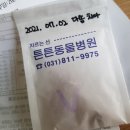 튼튼동물치과병원 이미지