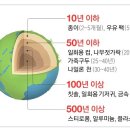 행복나무 반찬 이미지