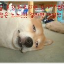 향촌칡냉면 | [남양주 맛집] 오남 향촌 칡냉면♡