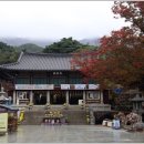동화사 이미지