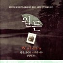 월든 Daum카페
