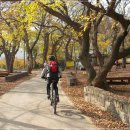 양동산성 Daum카페