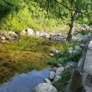 은하수 관광농원 이미지