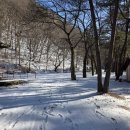 금물산하늘소캠프 | 눈 내린 캠핑장의 매력 양평 금물산 하늘소 캠핑장 겨울 캠핑 후기