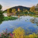 하늘뜰 농장 이미지