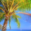 바닷가 풍경 이미지