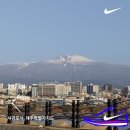 학교면 작은도서관 | 건강한 개인주의자(feat. 외롭지만 외롭지 않은 서귀포의 일상들)