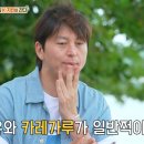 코코넛치킨 MBC연예