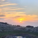 금오름농장 이미지