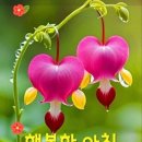 쿠에