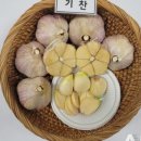 기찬기술 이미지