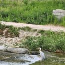 오렌지성형외과의원 이미지