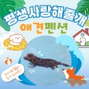사랑애견 | 태안 평생사랑해줄개 애견펜션 내돈내산 추천 후기