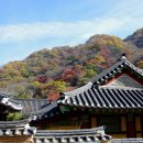 백양사 쌍계루 이미지