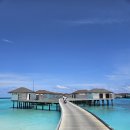 파레스장 | [허니문추천]아바니 플러스 파레스 몰디브 4박 솔직후기 2탄