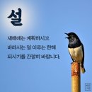 22년 구정명절 인사말 이미지