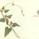 도토리기획 이미지