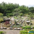 팔용산 테마공원 이미지