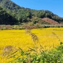 조상일정형외과의원 이미지