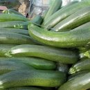 김종덕농장 이미지