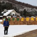 대관령전망대 이미지