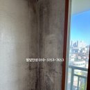 그린빌9단지 | 안산 탄성코트 그린빌 9단지 오래된 베란다 곰팡이 제거