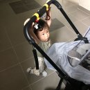 수수스킨&바디