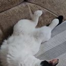 구제샵넘버원