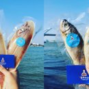 명주수산 이미지