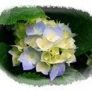 내컴퓨터 관리하기 이미지